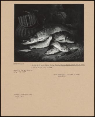 A Still Life With Pike, Carp, Roach, Perch, Brown Trout And A Creel