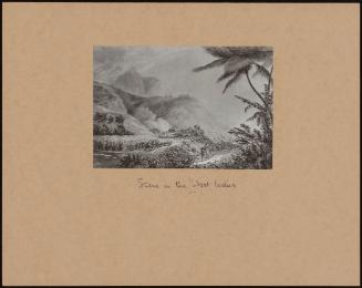 Scene In The West Indies