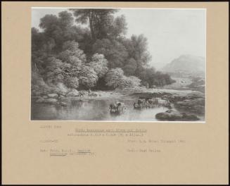 Hilly Landscape With River And Cattle