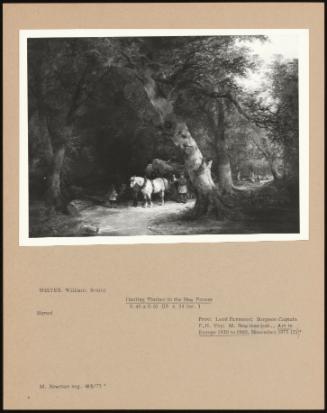 Hauling Timber in the New Forest