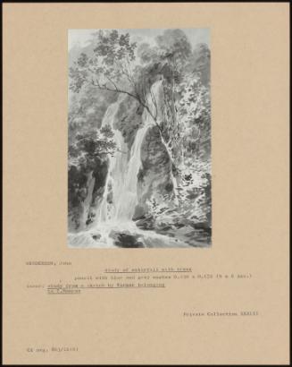 Study Of Waterfall With Trees