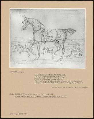 A Racehorse Walking at Exercise, in Sweat-Covers; Rider's Left Leg Sketched In. in the Background Other Race Horses Cantering at Exercise Over a Wide Heath (Probably at Newmarket)