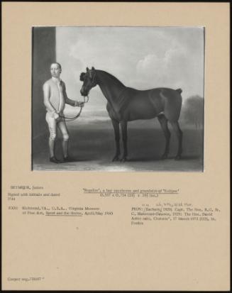 Regulus', A Bay Racehorse And Grandsire Of 'eclipse'