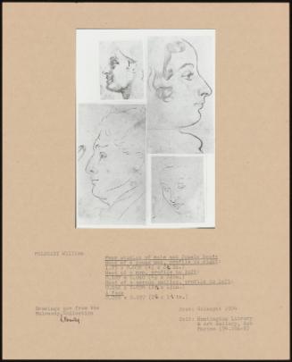 Four Studies Of Male And Female Heads; Head Of A Young Man, Profile To Right: ; Head Of A Man, Profile To Left: Head Of A Person Smiling, Profile To Left: A Face
