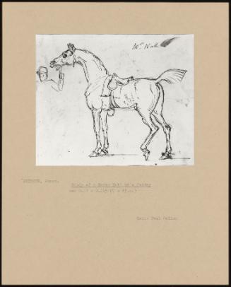 Study of a Horse Held by a Jockey