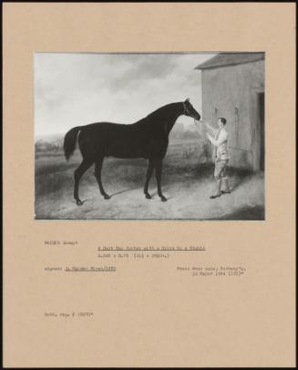 A Dark Bay Hunter With A Groom By A Stable