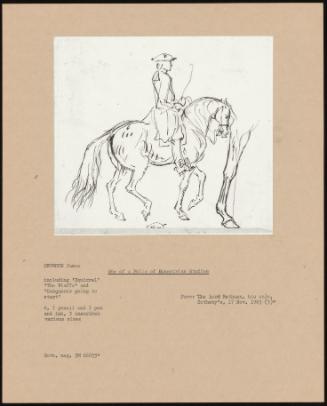 One of a Folio of Equestrian Studies