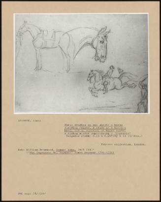 Three Studies on One Sheet: a Horse Standing Rugged; a Study of a Horse's Head, and an Exercise at Haute Ecole; a Riding Master Supervising a "Capriole"