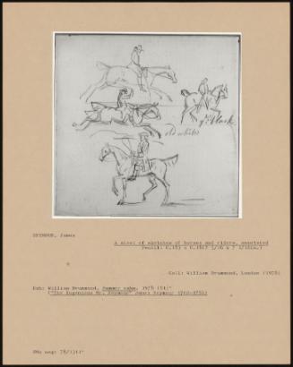 A Sheet of Sketches of Horses and Riders, Annotated