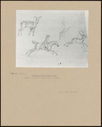 Studies for a Stag Hunt