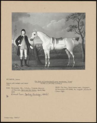 The Duke Of Cumberland's Grey Racehorse, 'crab'