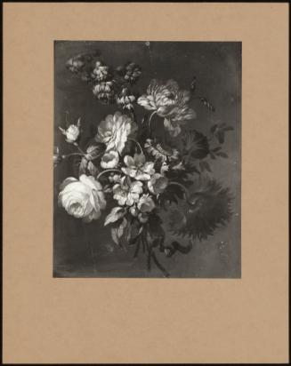 Posies Of Roses, Polyanthus.