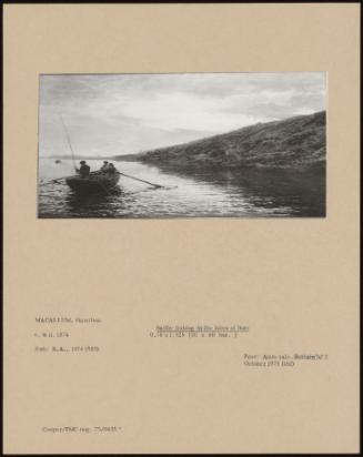 Saithe Fishing In The Isles Of Bute