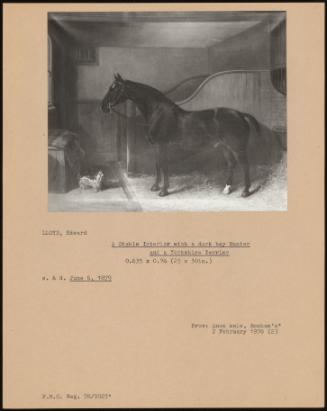 A Stable Interior With A Dark Bay Hunter And A Yorkshire Terrier