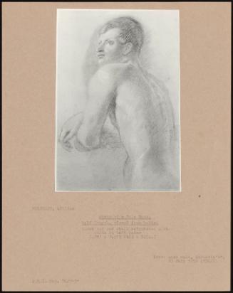 Studie Of A Male Nude, Half Length, Viewed From Behind