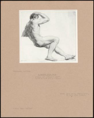 A Seated Male Nude