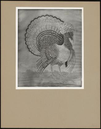 A Study Of A Turkey-Cock