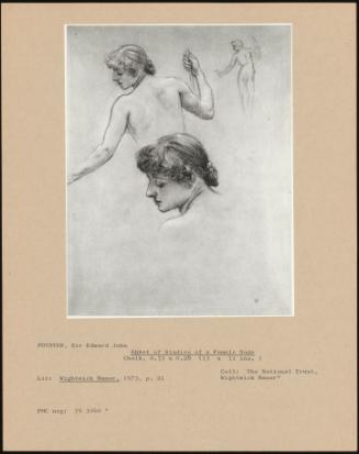 Sheet Of Studies Of A Female Nude
