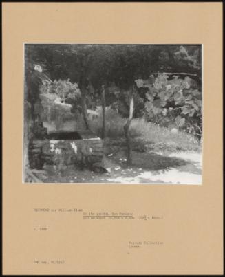 In the Garden, San Damiano