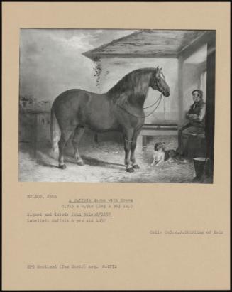 A Suffolk Horse With Groom
