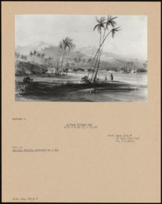 A Palm Fringed Bay