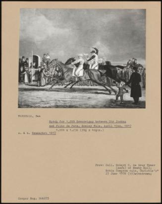 Match For 1, 000 Sovereigns Between Sir Joshua And Filho Da Puta, Rowley Mile, April 15th, 1817