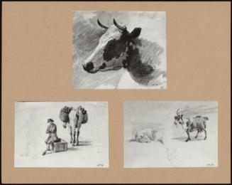 Studies Of Cattle, Etc. Six Sketches (3)