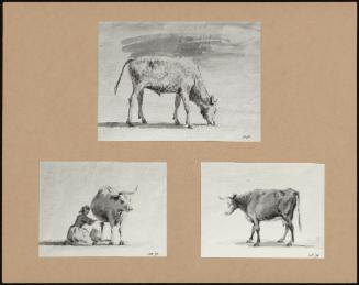 Studies Of Cattle, Etc. Six Sketches (3)