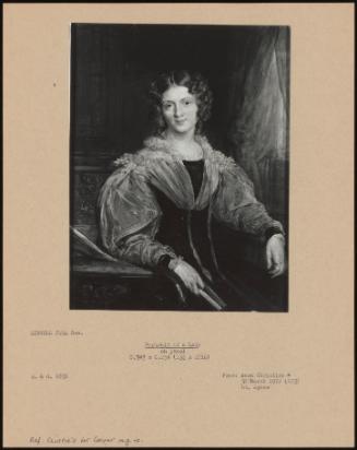 Portrait Of A Lady