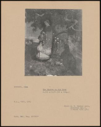 PA-F03816-0019