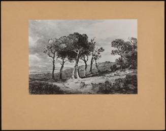 Landscape With Trees In The Manner Of Monno