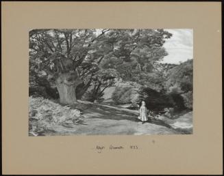 Hayes Common 1853