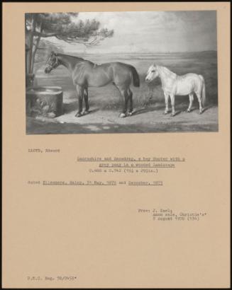 Lancashire And Snowdrop, A Bay Hunter With A Grey Pony In A Wooded Landscape