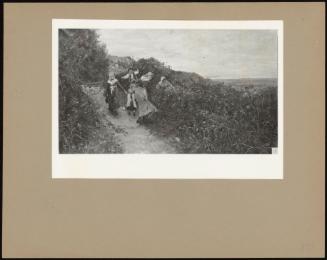 Blackberry Gathering Near Sandown, Isle Of Wight