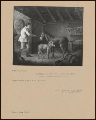 A Donkey And Foal With A Man In A Barn