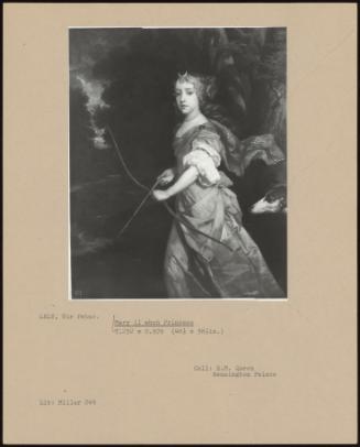 Mary Ii When Princess