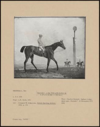 Souvenir': A Bay Filly With Jockey Up