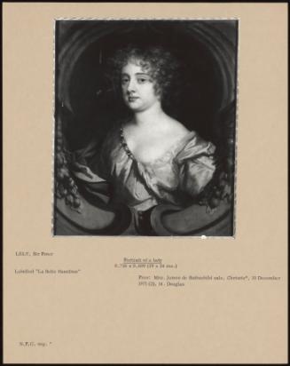 Portrait Of A Lady