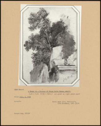 A Woman On A Terrace Of Steps Below Threes, Amalfi