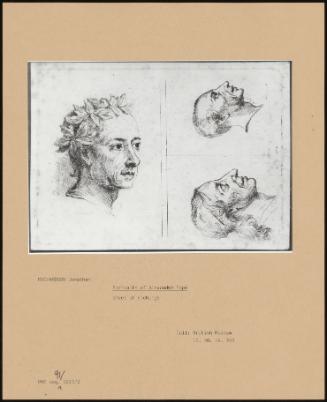 Portraits Of Alexander Pope