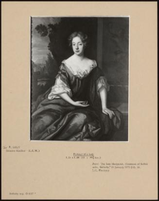 Portrait Of A Lady