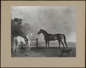 Two Horses With A Dog On Newmarket Heath
