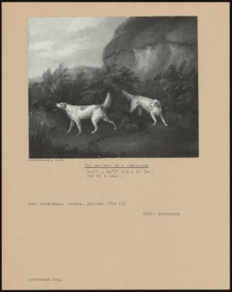 Two Setters in a Landscape