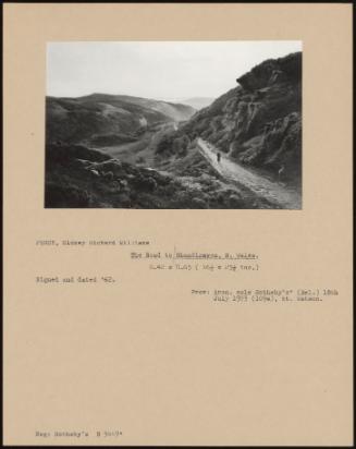 The Road To Rhandirmwyn, N. Wales.