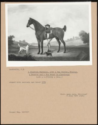 A Cheshire Huntsman, with a Bay Hunter, Bluecap. a Terrier and a Fox Hound in a Landscape