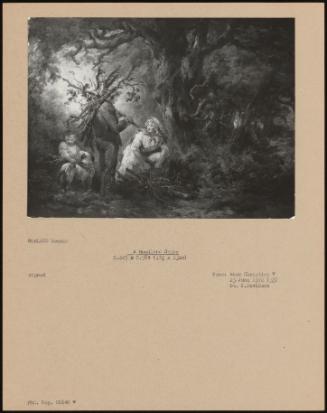 A Woodland Scene