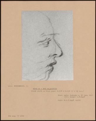 Head Of A Man In Profile