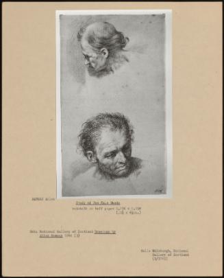 Study of Two Male Heads