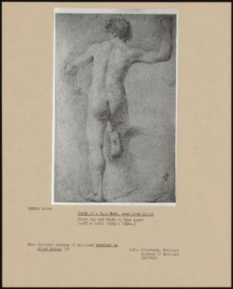 Study Of A Male Nude, Seen From Behind