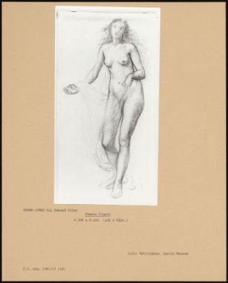 Female Figure